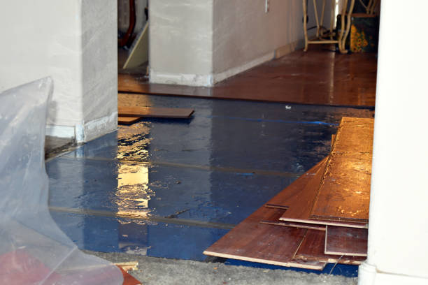 Professional Water Damage technician working in Pointblank, TX