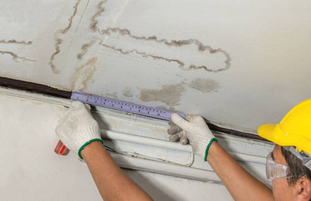 Reliable Water Damage contractor in Pointblank, TX by Water Damage Irwin